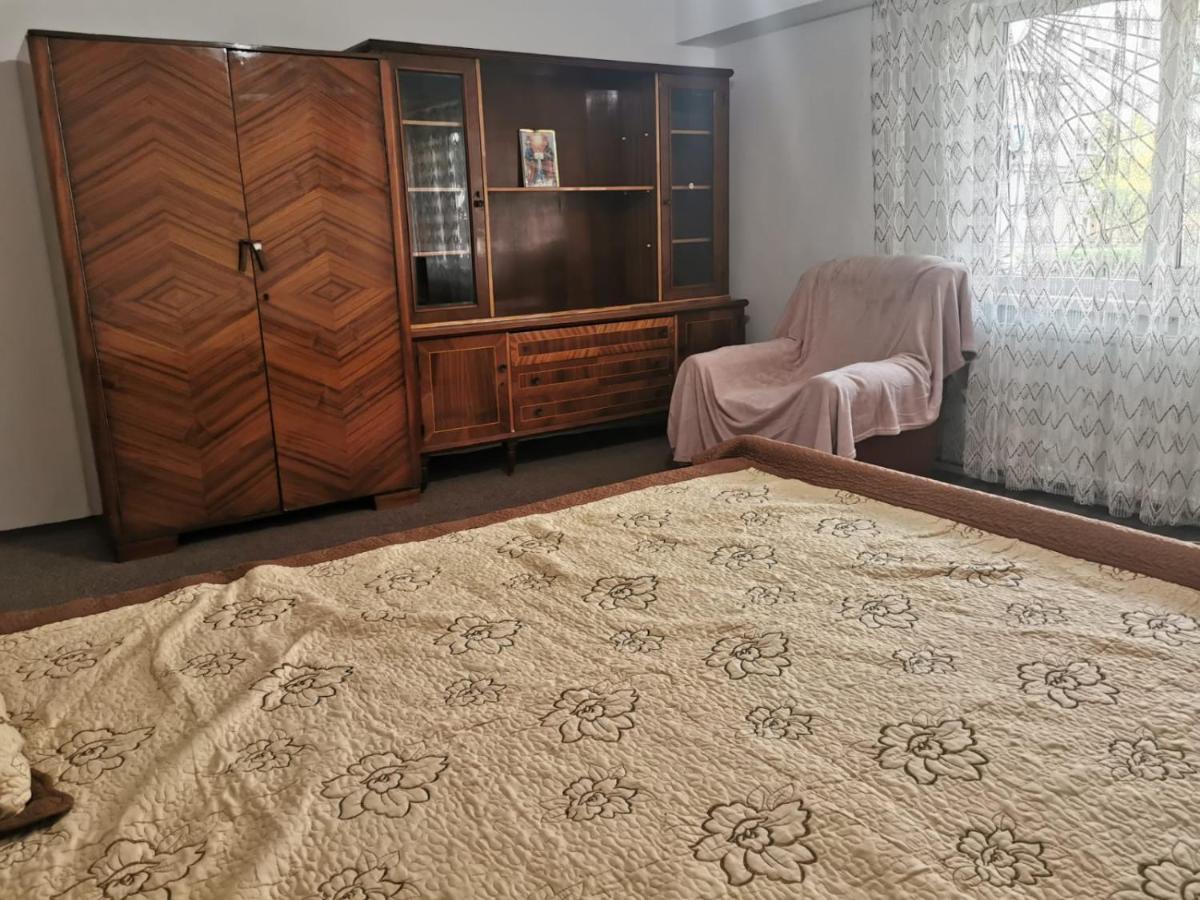 Garsoniera Apartment Craiova Exterior foto